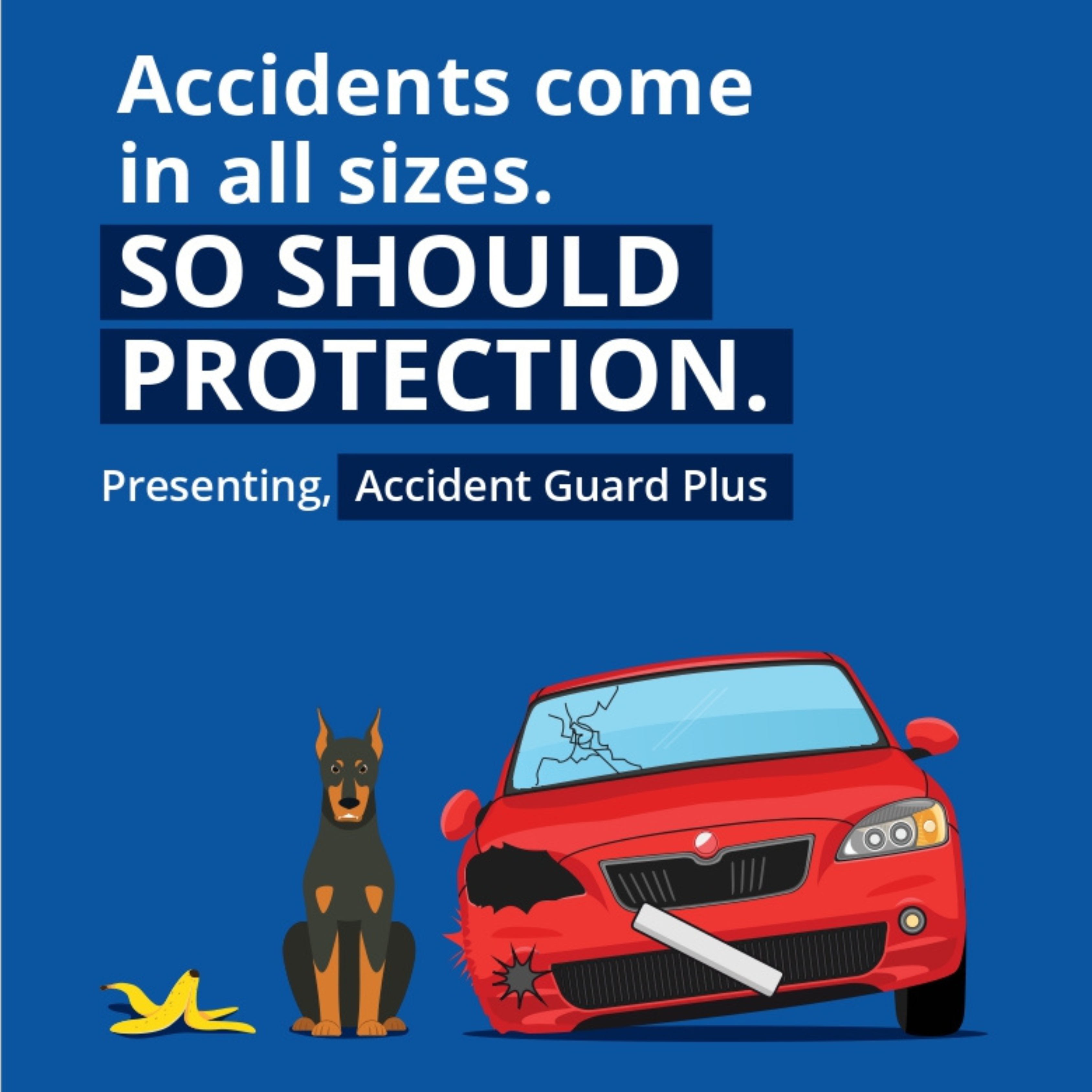 Accident Guard Plus